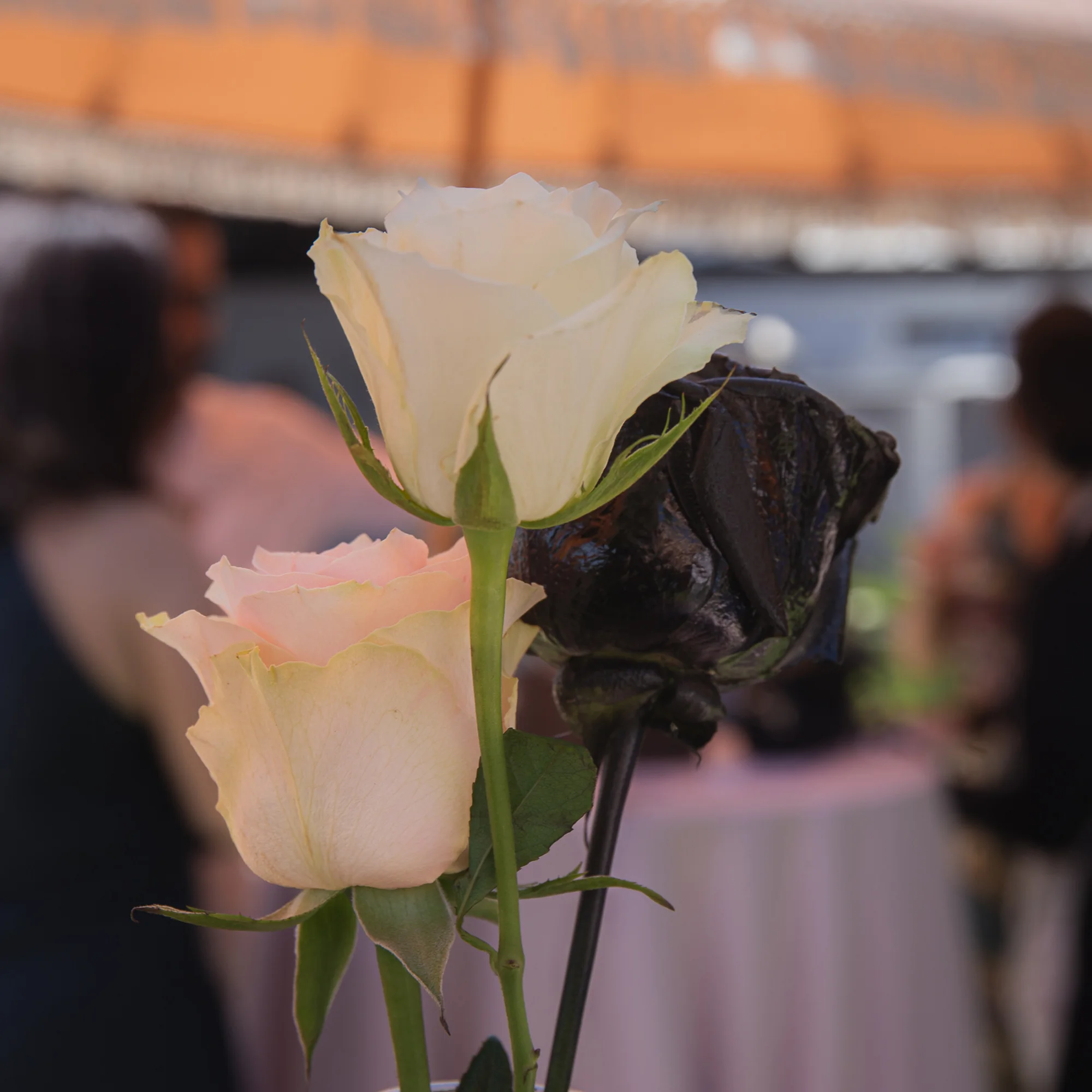 Beach wedding Torre del Mar