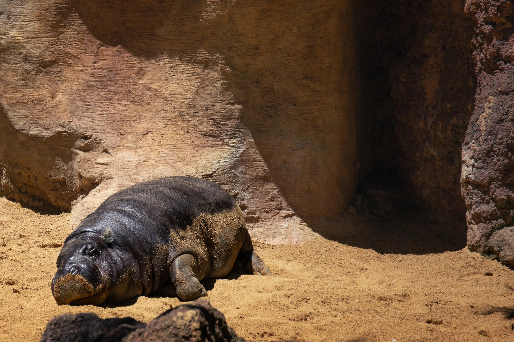 A day at the zoo